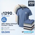 250x Printed Gildan Softstyle Tshirts