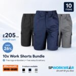 10 work shorts bundle